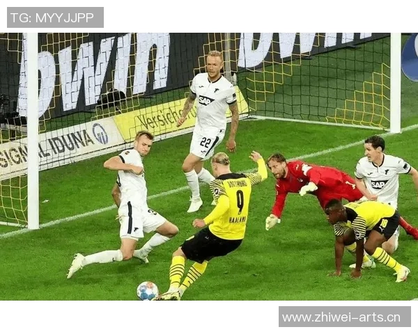 霍芬海姆德甲强势复苏,实力展现崭露头角 霍芬海姆德甲强势复苏,实力展现崭露头角